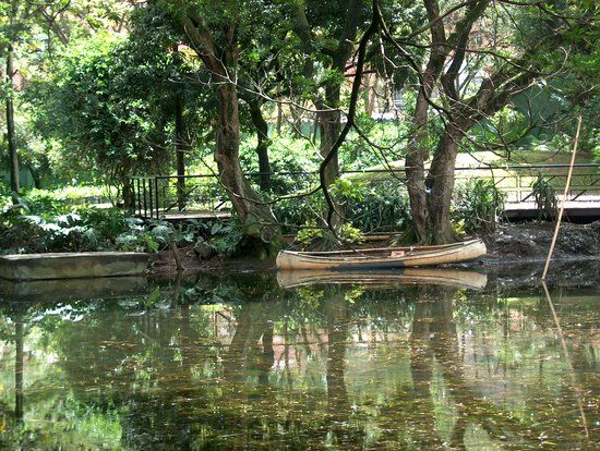 Joaquin Antonio Uribe Botanical Garden